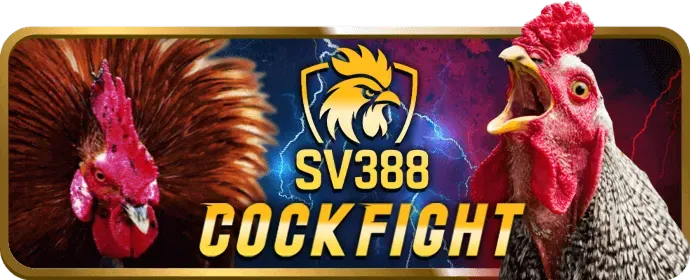 Bảo Mật và Cá Cược Có Trách Nhiệm FVE88